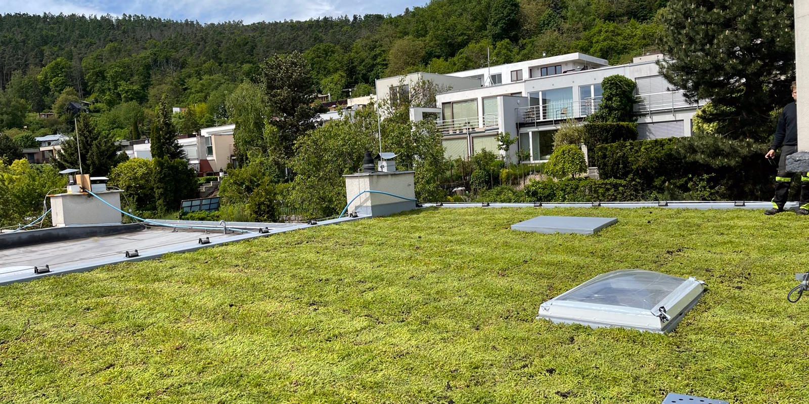 Realizace zelené střechy Greentop Sosnova