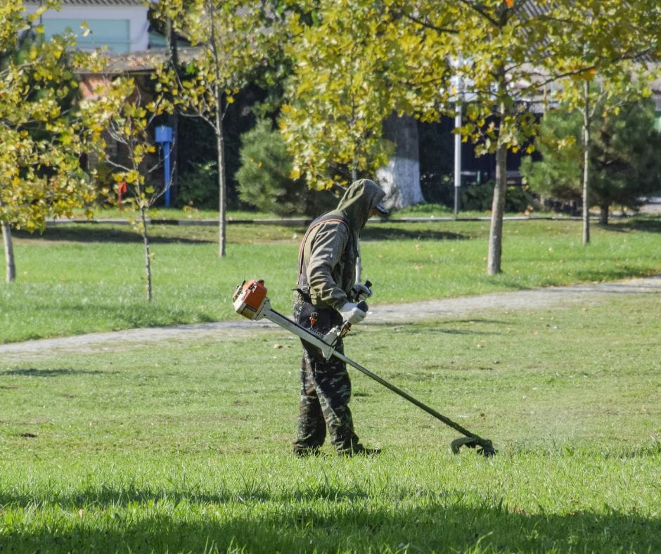 JAK SOUVISÍ SEKÁNÍ TRÁVY S KLIMATEM?